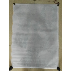 越南驾照哪里有卖